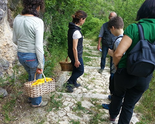 Viaggio itinerante nel cuore d'Abruzzo: esperienze a tutta natura